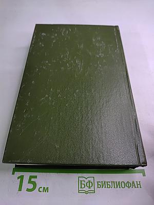 Память. Роман-эссе. Книга вторая