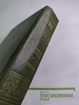 Память. Роман-эссе. Книга вторая