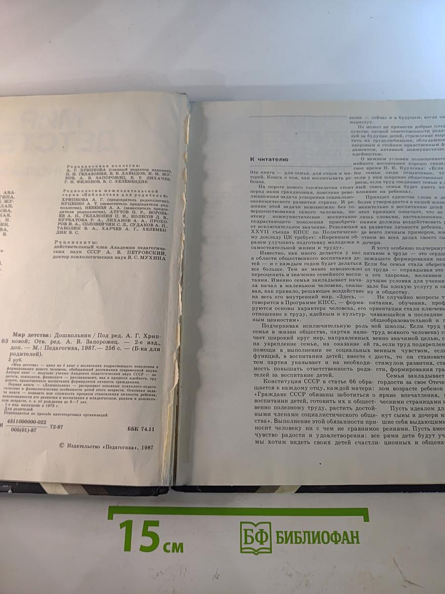 Мир детства: Дошкольник