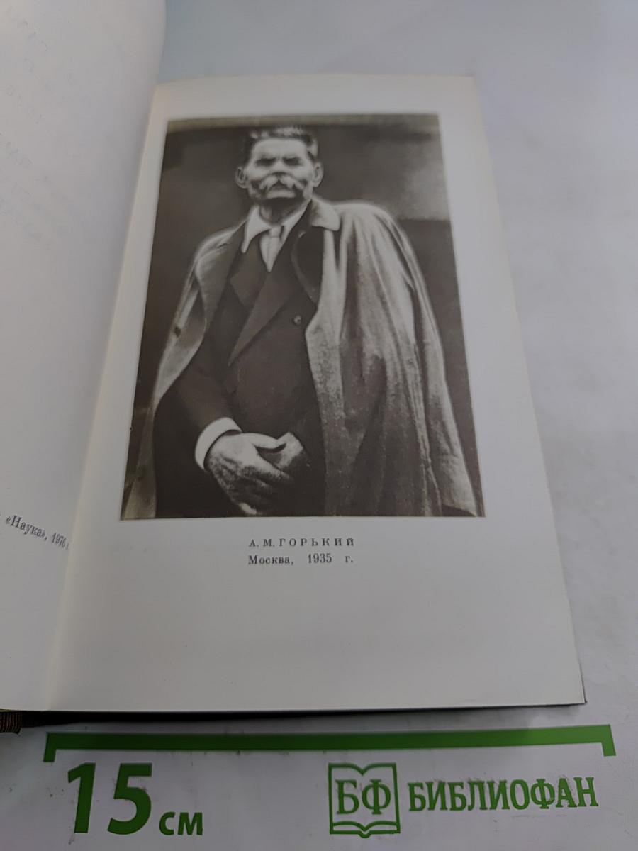 Жизнь Клима Самгина (Сорок лет). Том двадцать пятый