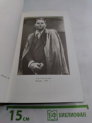 Жизнь Клима Самгина (Сорок лет). Том двадцать пятый