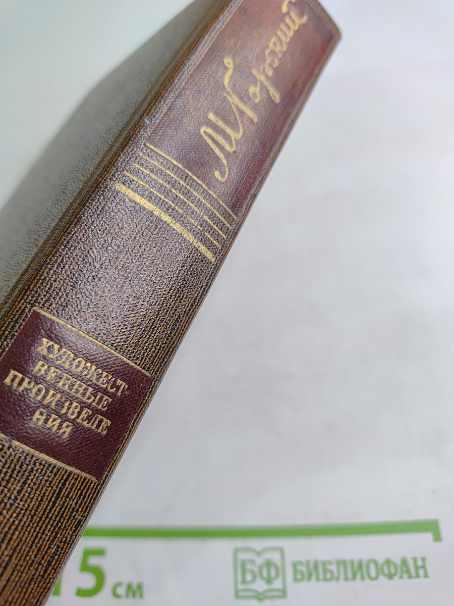 Жизнь Клима Самгина (Сорок лет). Том двадцать пятый