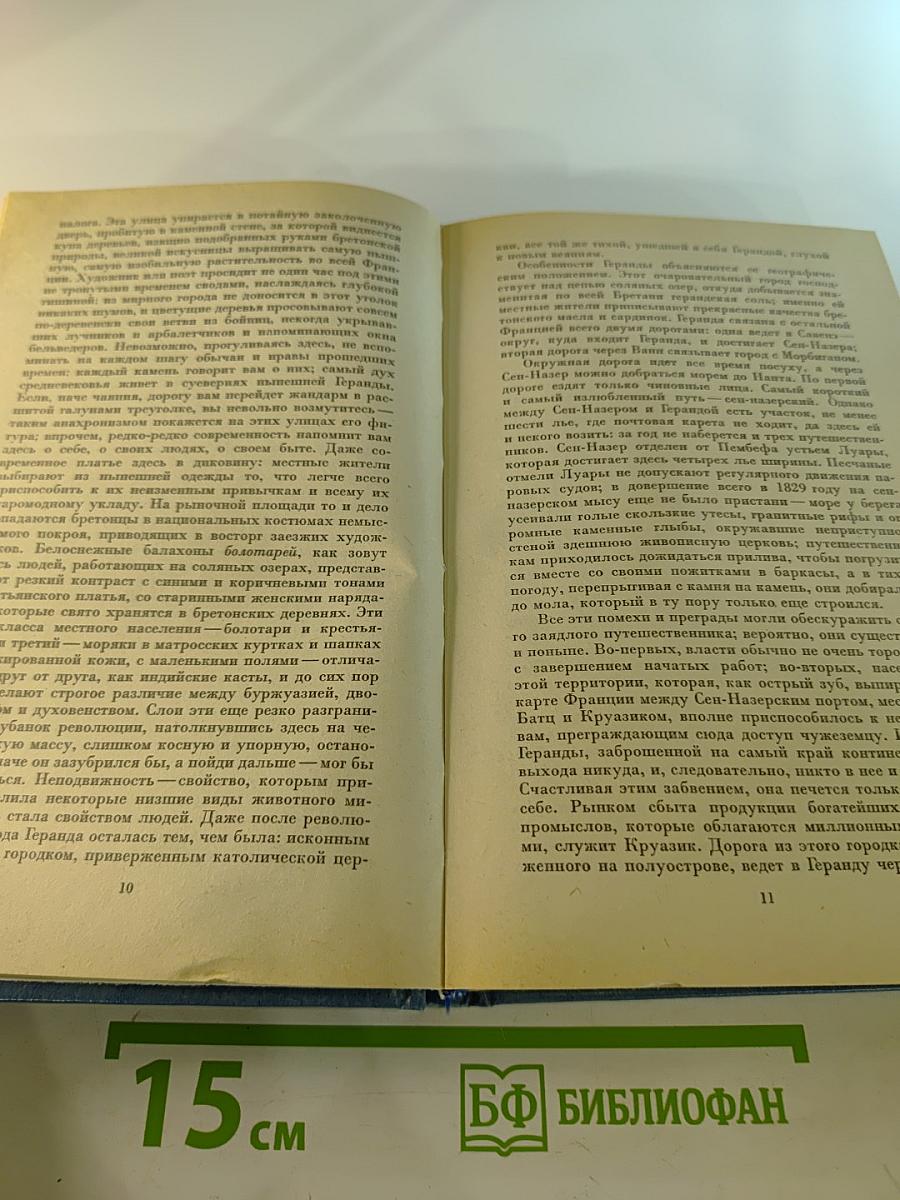 Собрание сочинений. Том 6. Человеческая комедия: Философские этюды. Сцены частной жизни