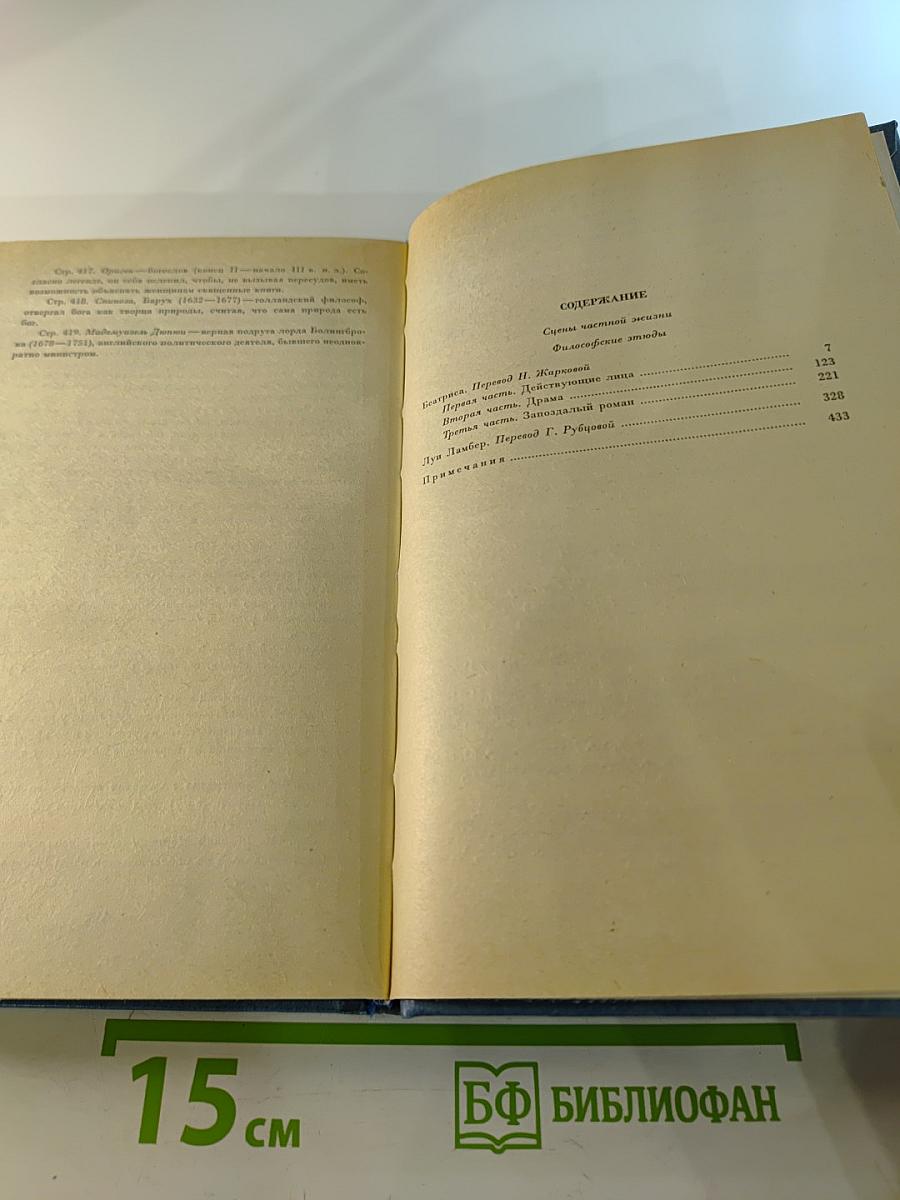 Собрание сочинений. Том 6. Человеческая комедия: Философские этюды. Сцены частной жизни