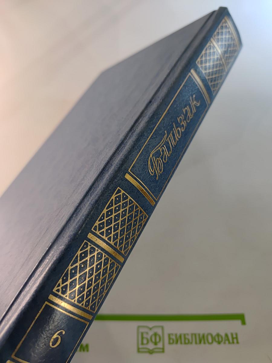 Собрание сочинений. Том 6. Человеческая комедия: Философские этюды. Сцены частной жизни