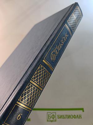 Собрание сочинений. Том 6. Человеческая комедия: Философские этюды. Сцены частной жизни