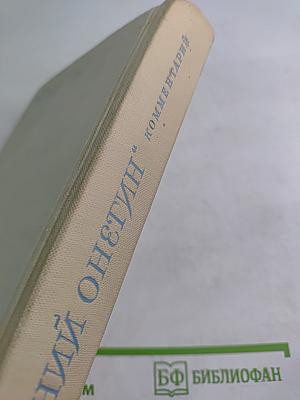 Роман А.С. Пушкина "Евгений Онегин" Комментарий. Пособие для учителя