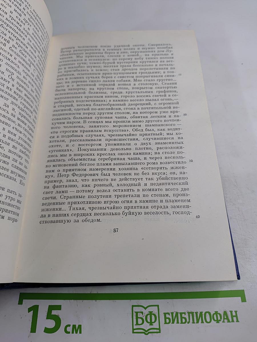 Сочинения. Том пятый. Повести и рассказы, статьи и рецензии 1844-1854