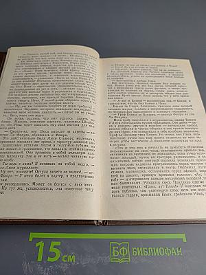 Собрание сочинений в XX томах. Том 8. Нана