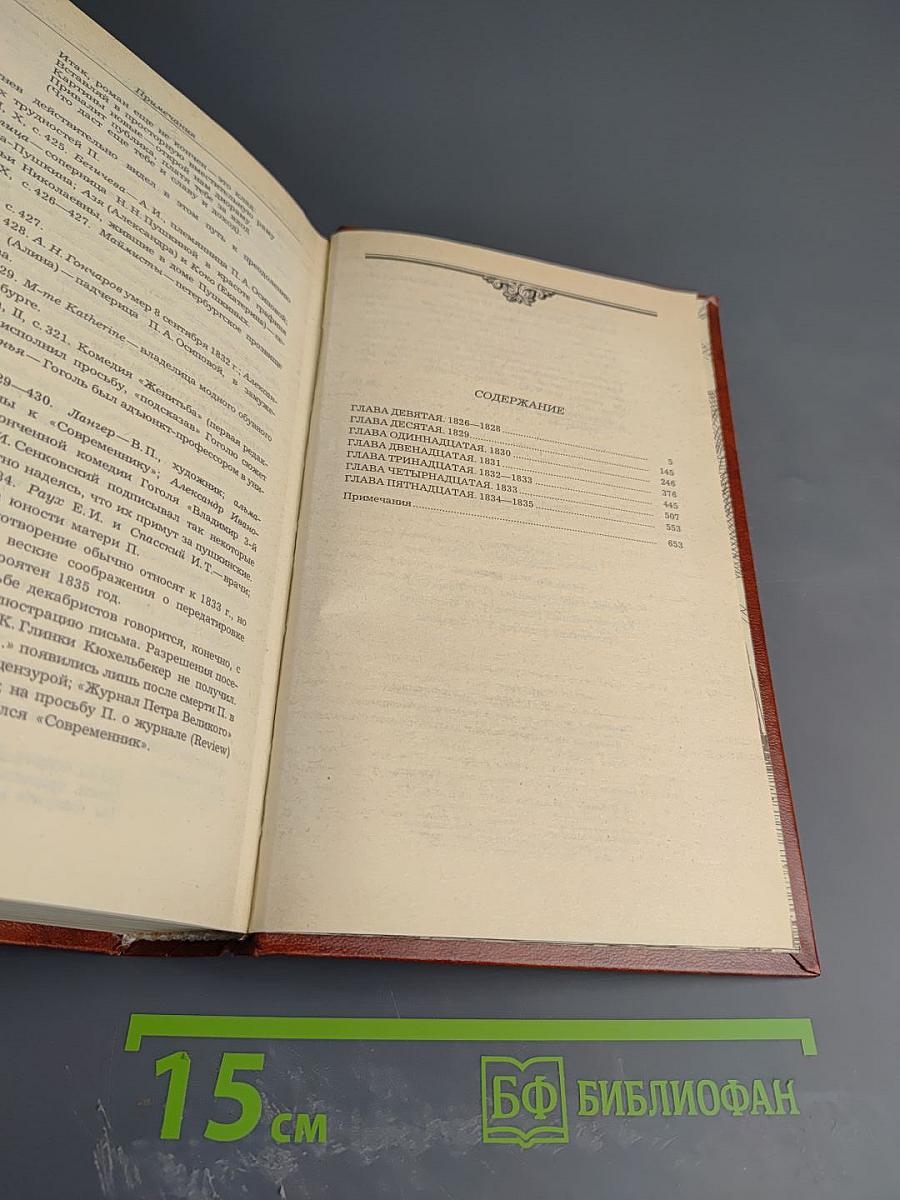 Жизнь Пушкина. Рассказанная им самим и его современниками. Том второй