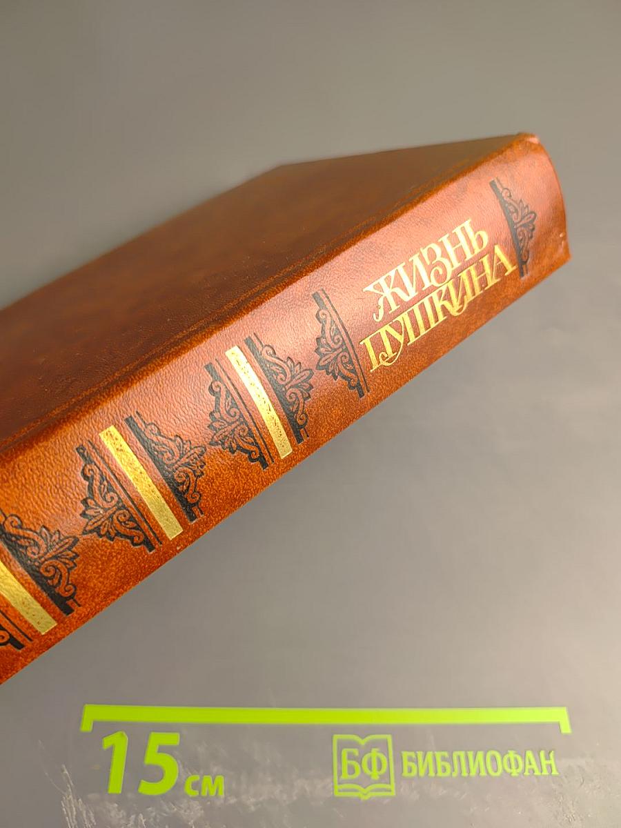 Жизнь Пушкина. Рассказанная им самим и его современниками. Том второй