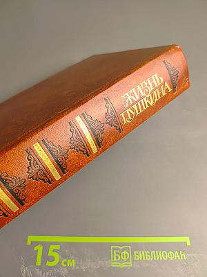 Жизнь Пушкина. Рассказанная им самим и его современниками. Том второй