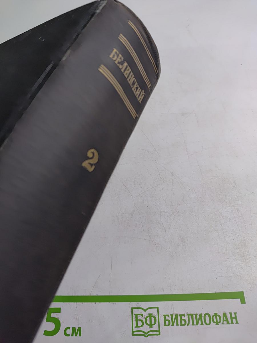 В. Г. Белинский. Статьи и рецензии. 1841-1845. Том II