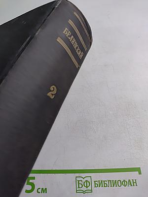 В. Г. Белинский. Статьи и рецензии. 1841-1845. Том II