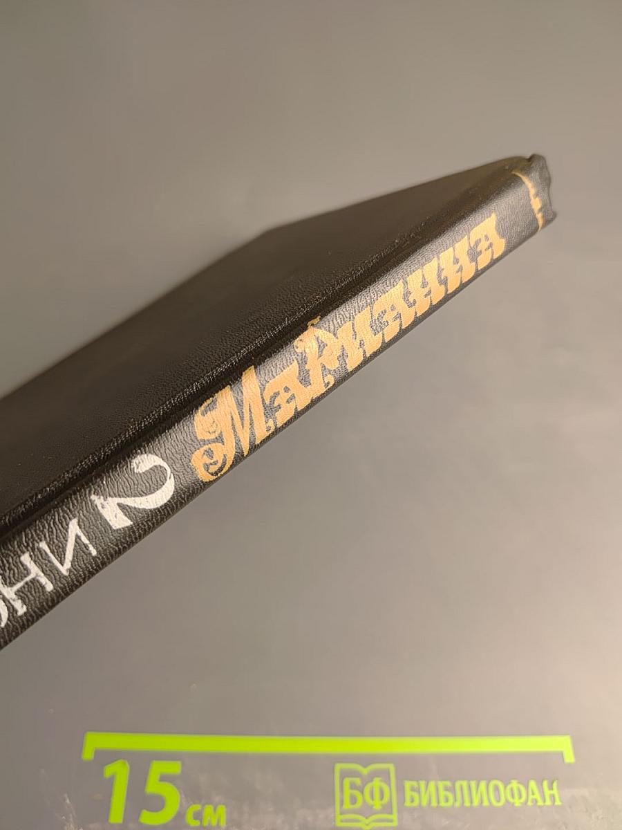 Марианна и неизвестный из Тосканы. Роман в шести книгах. Книга вторая