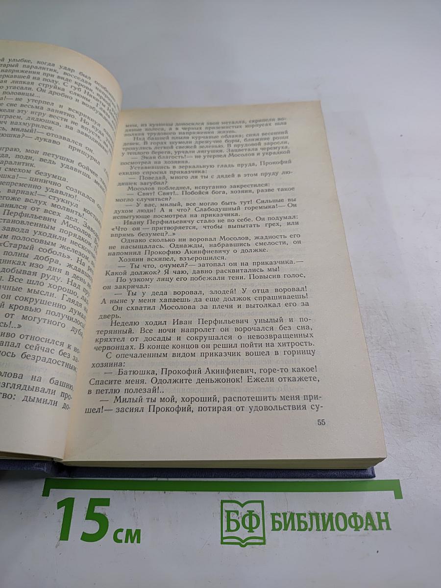 Каменный пояс. Книга вторая. Наследники