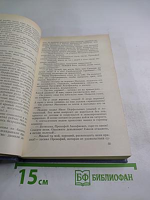 Каменный пояс. Книга вторая. Наследники