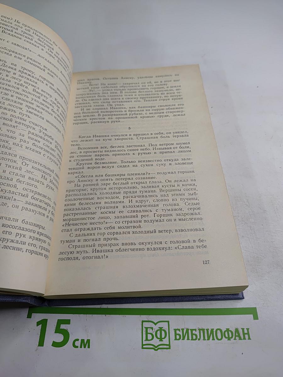 Каменный пояс. Книга вторая. Наследники