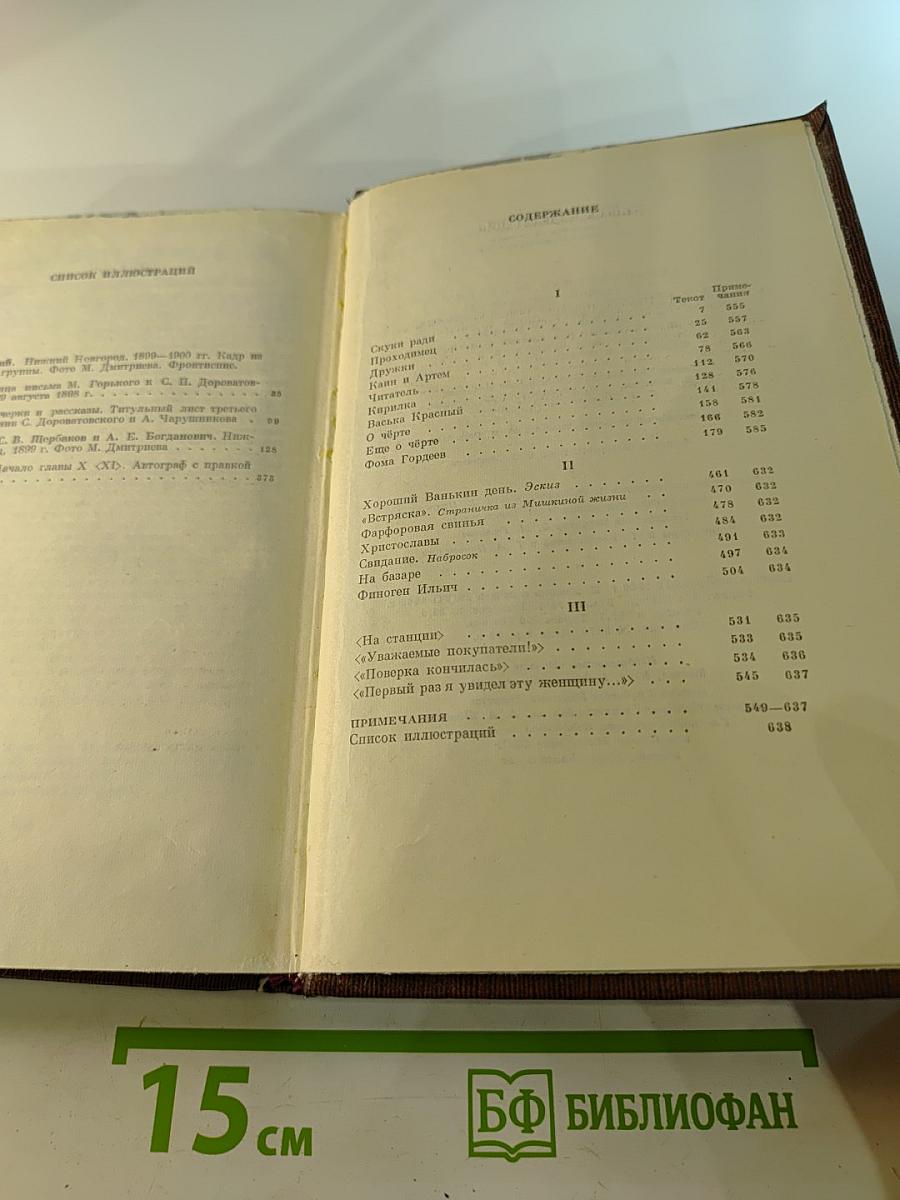 Художественные произведения. Том четвертый: Фома Гордеев. Рассказы, очерки, наброски, стихи (1897–1899)