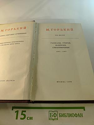 Художественные произведения. Том шестой: Рассказы, очерки, наброски, стихотворения 1904-1907