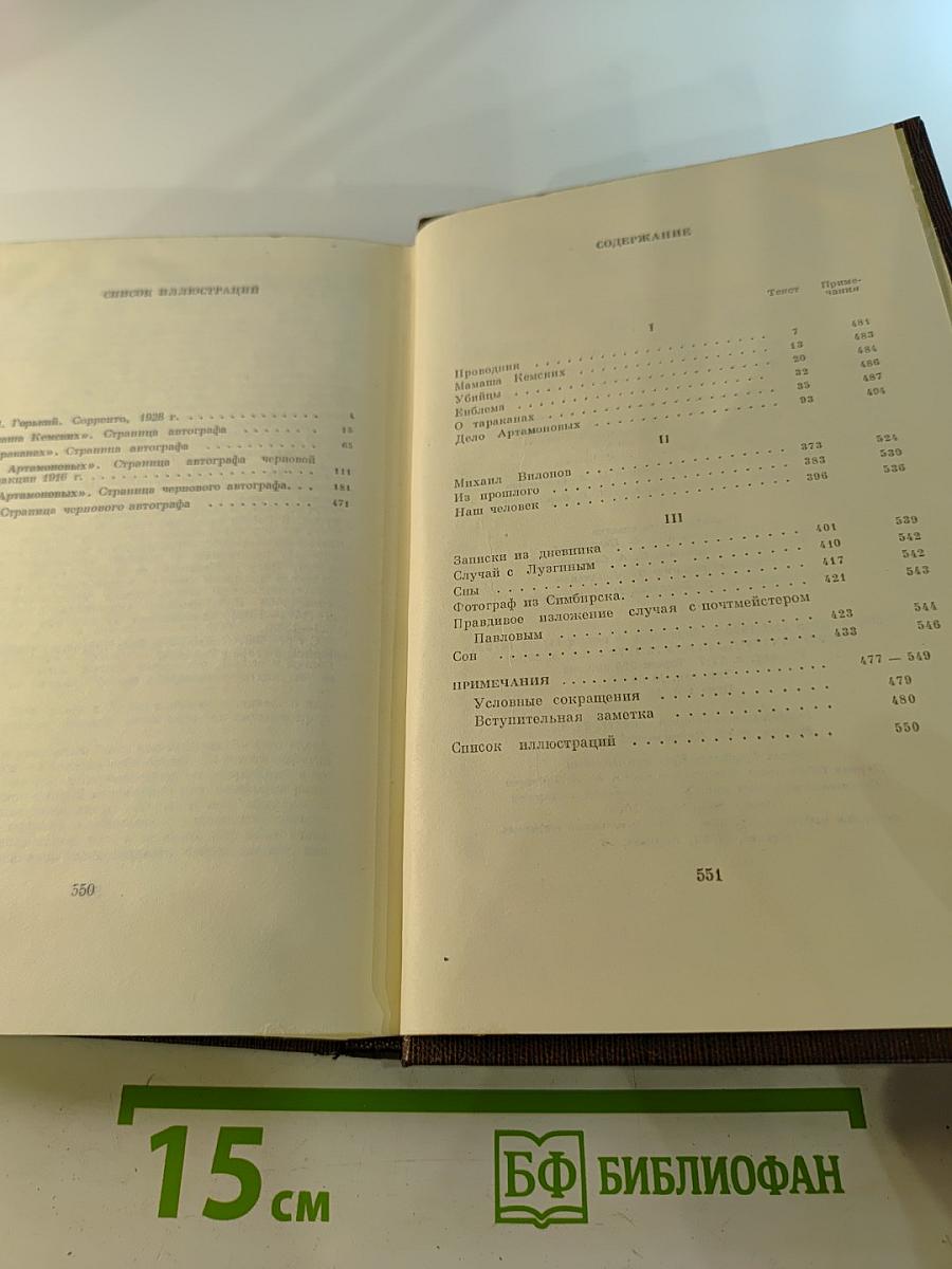 Собрание сочинений. Том 18: Дело Артамоновых. Рассказы и наброски 1922-1928