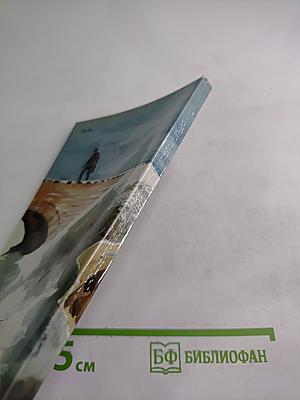 Конец операции "Остайнзатц"