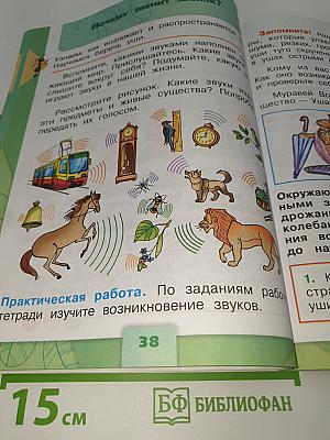 Окружающий мир. 1 класс. Часть 2