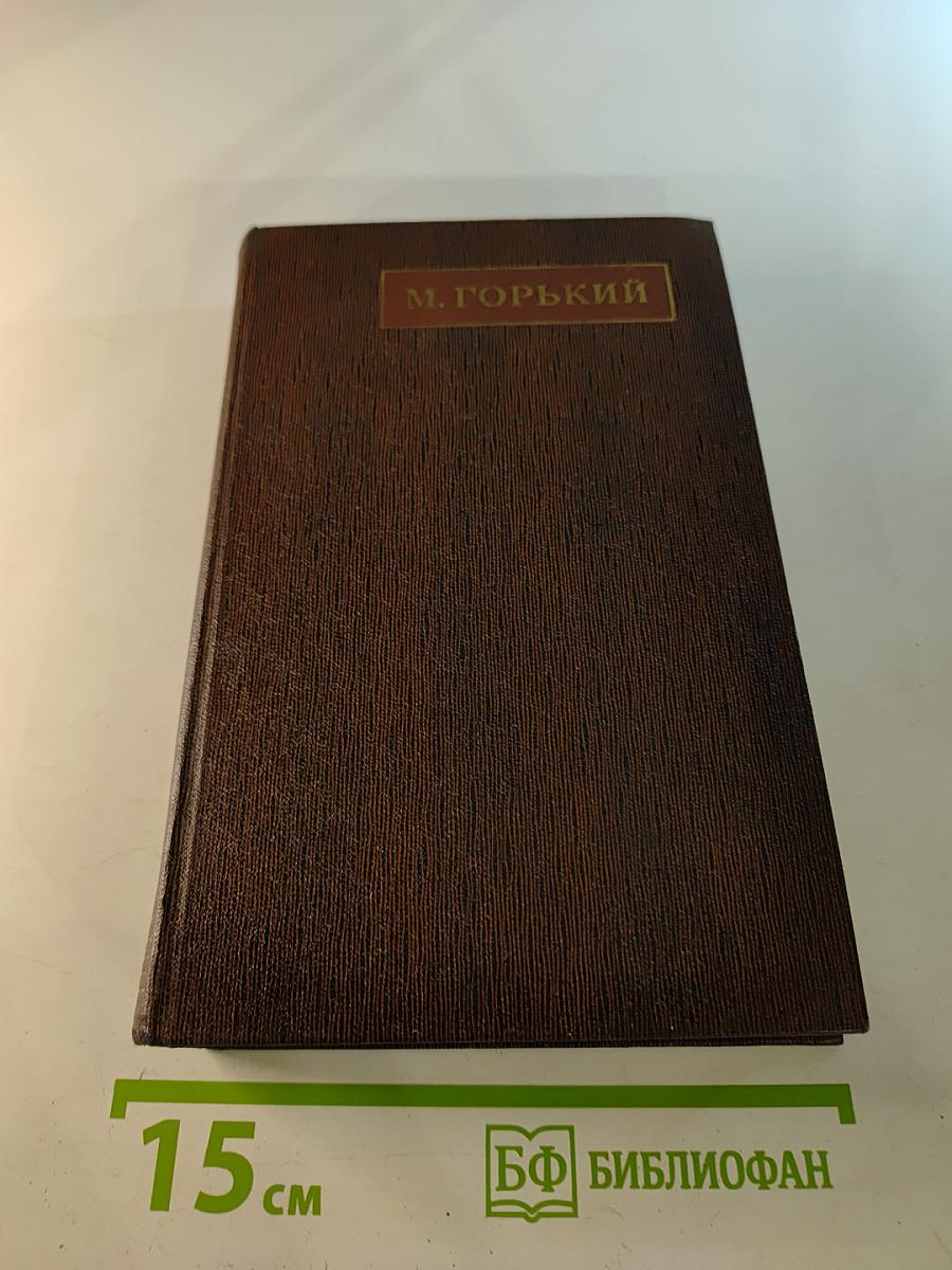 Собрание сочинений. Том восемнадцатый. «Дело Артамоновых». Рассказы и наброски 1922-1928