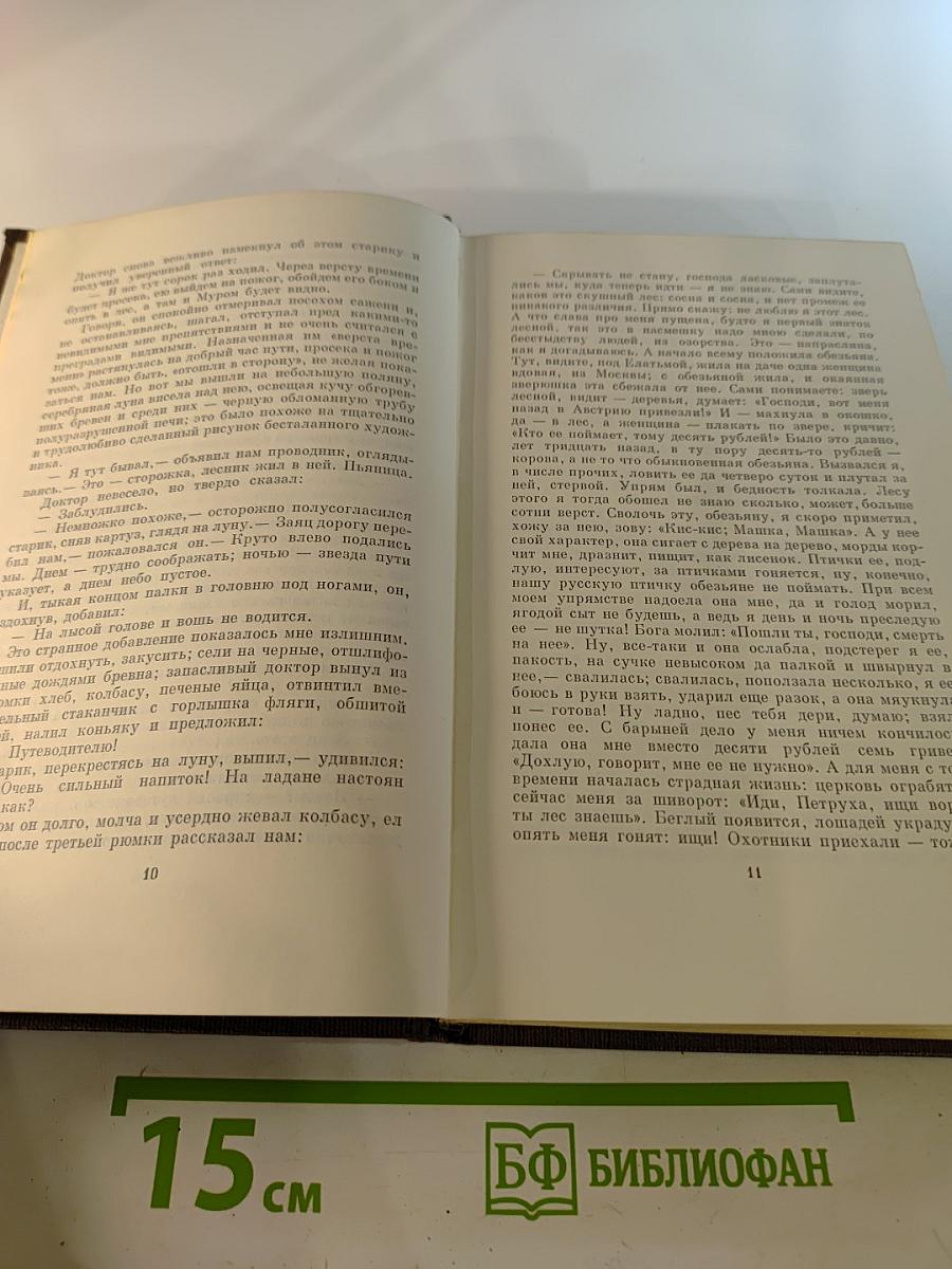 Собрание сочинений. Том восемнадцатый. «Дело Артамоновых». Рассказы и наброски 1922-1928