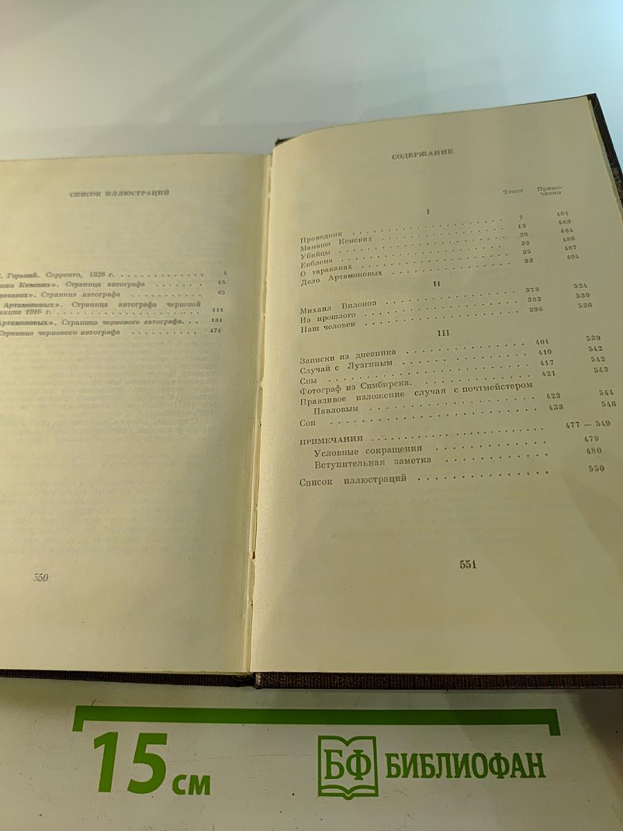 Собрание сочинений. Том восемнадцатый. «Дело Артамоновых». Рассказы и наброски 1922-1928