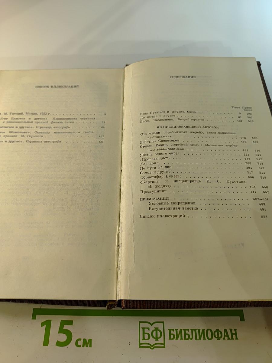 Собрание сочинений. Том 19: Пьесы, Сценарии, Драматические наброски 1917-1935