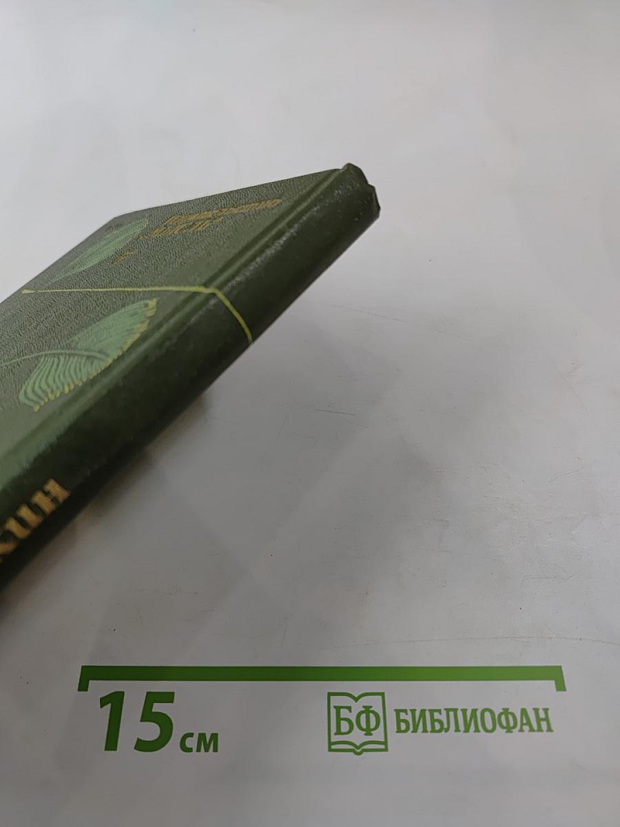 Причуды природы