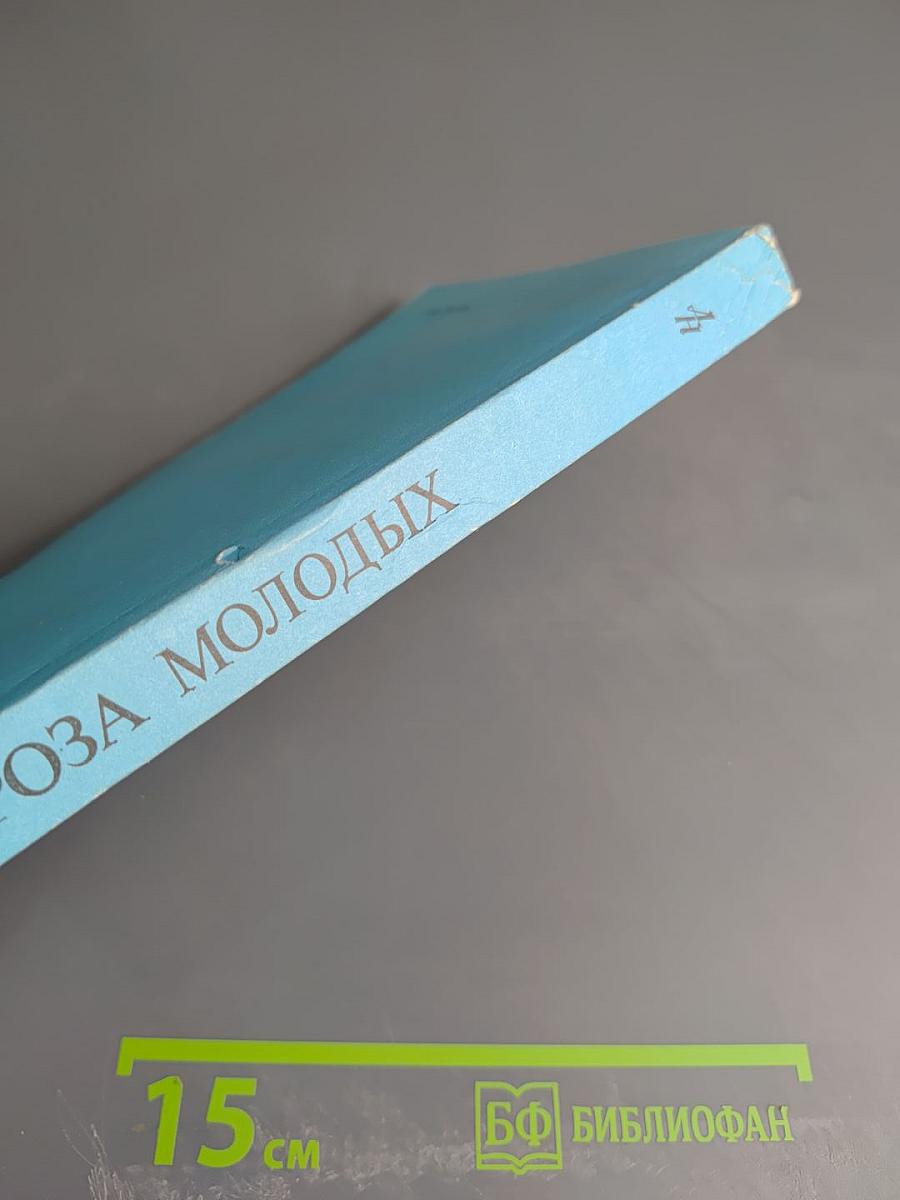 Проза молодых