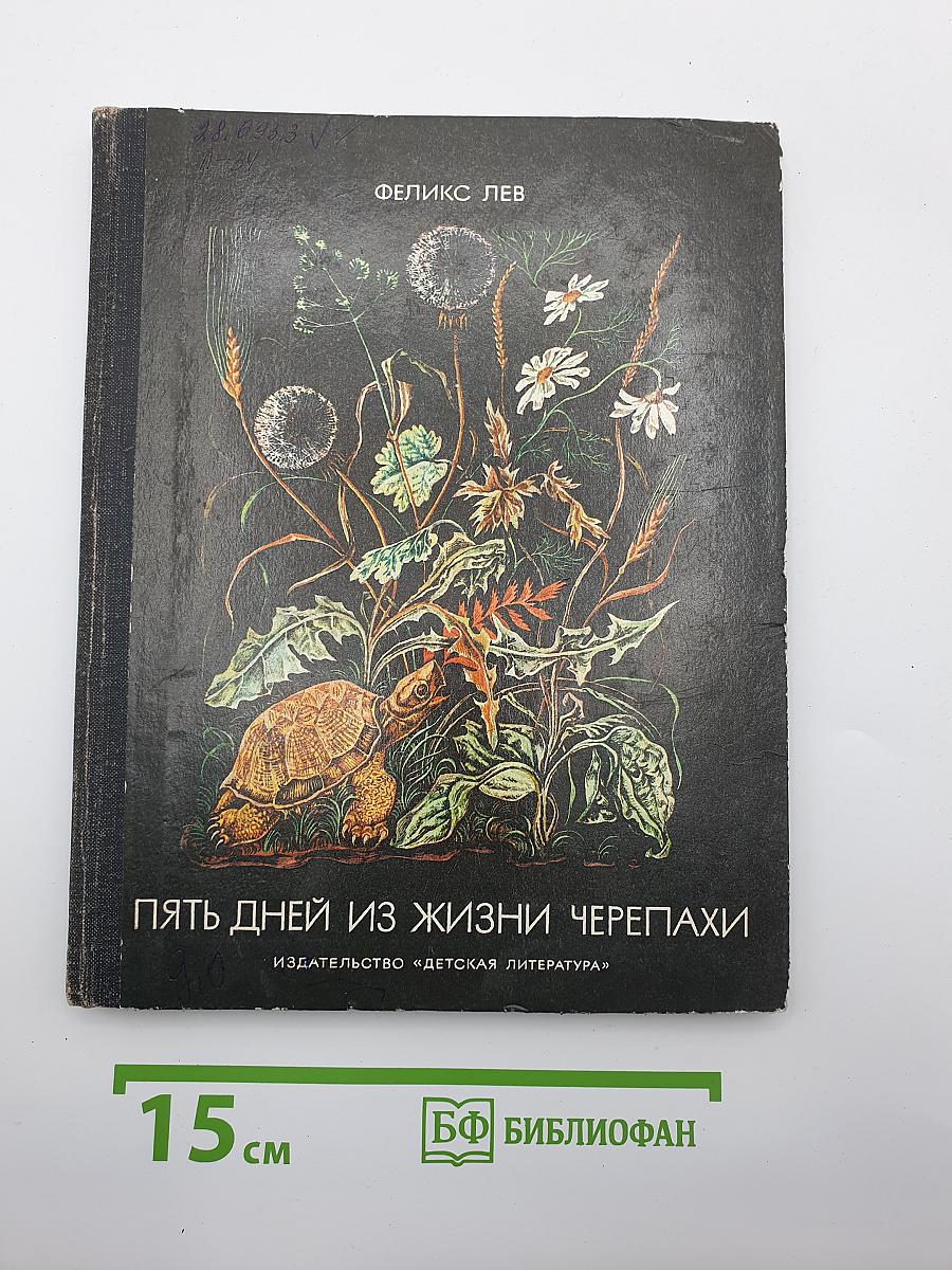 Пять дней из жизни черепахи