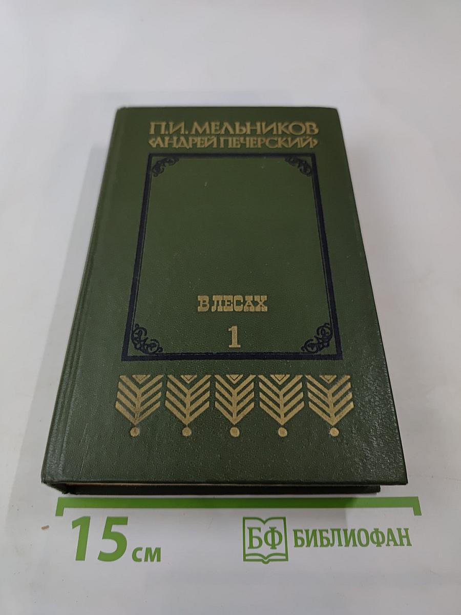 В лесах. Книга первая