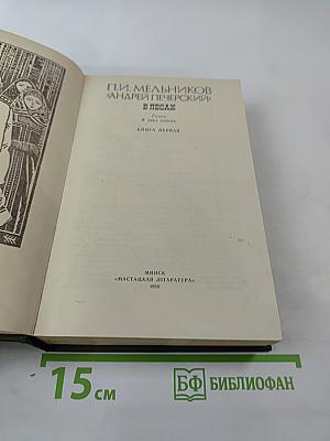 В лесах. Книга первая