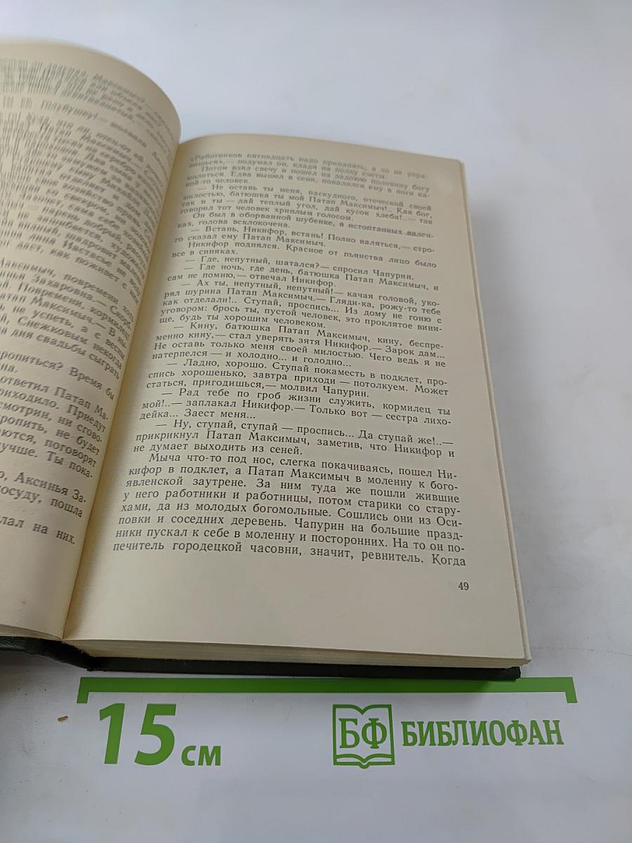 В лесах. Книга первая