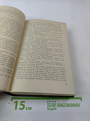 В лесах. Книга первая