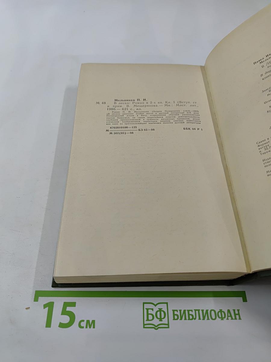 В лесах. Книга первая