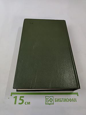 В лесах. Книга первая