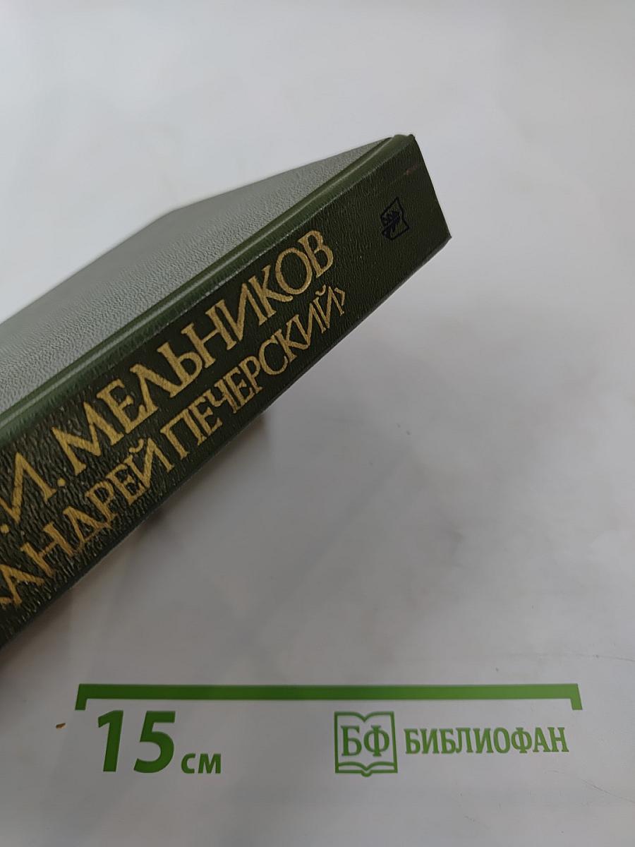 В лесах. Книга первая