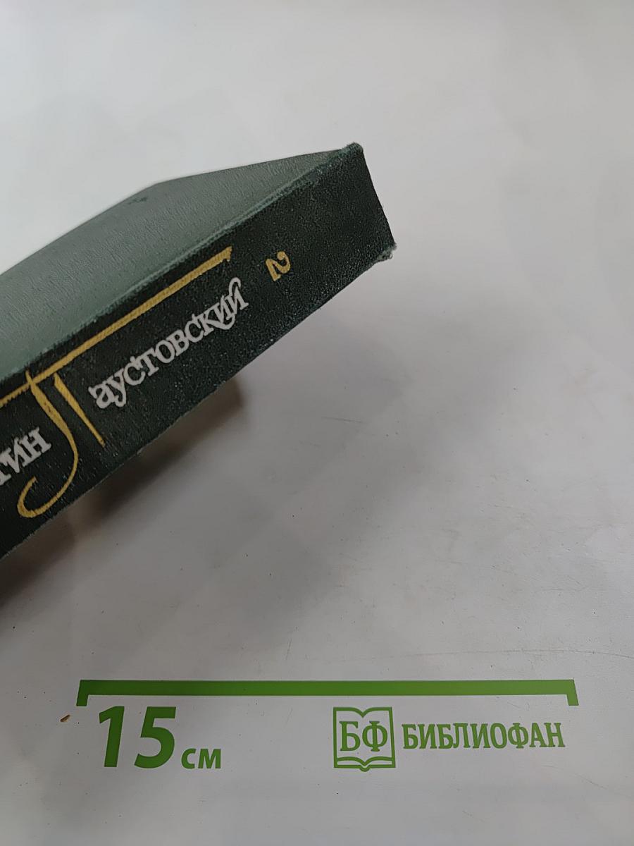 Собрание сочинений. Том второй. Роман и повести