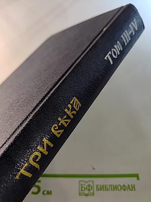 Три века. Россия от Смуты до нашего времени. Том III-IV