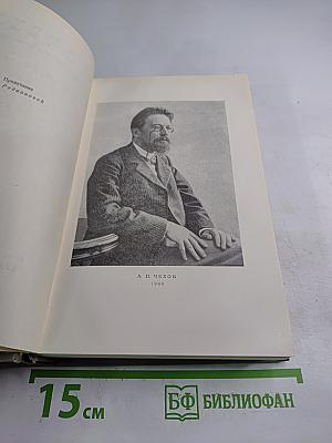 Собрание сочинений. Том 8: Повести и рассказы 1885-1903
