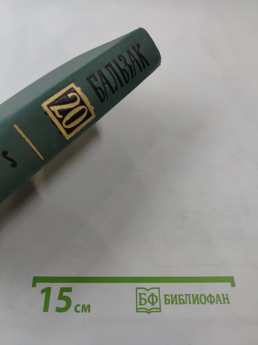 Собрание сочинений в 24 томах. Том 20. Поиски абсолюта