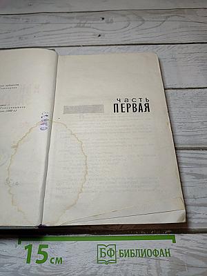 Как закалялась сталь