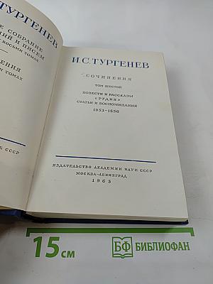 Полное собрание сочинений и писем. Том шестой: Повести и рассказы, Статьи и воспоминания 1853-1856