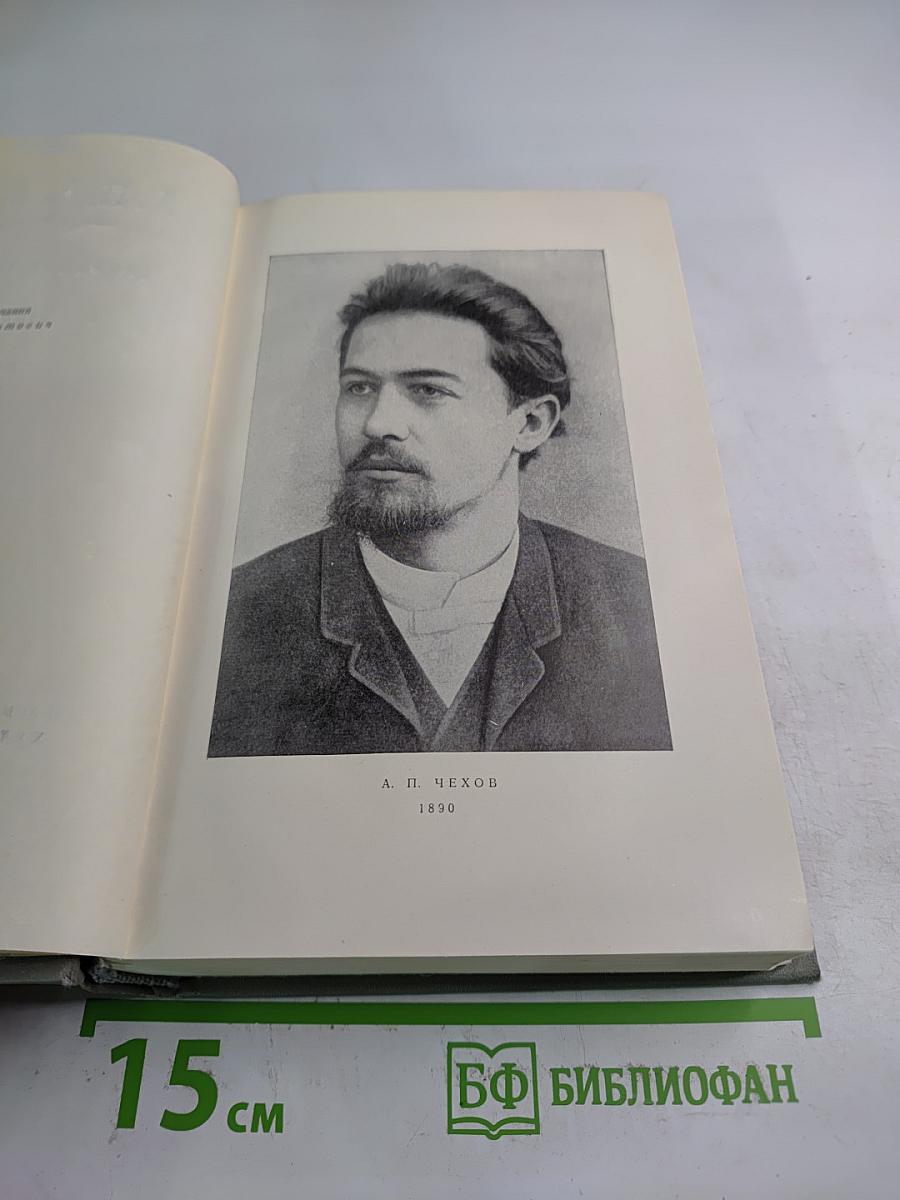 Собрание сочинений. Том одиннадцатый. Письма 1877-1892