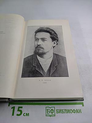 Собрание сочинений. Том одиннадцатый. Письма 1877-1892