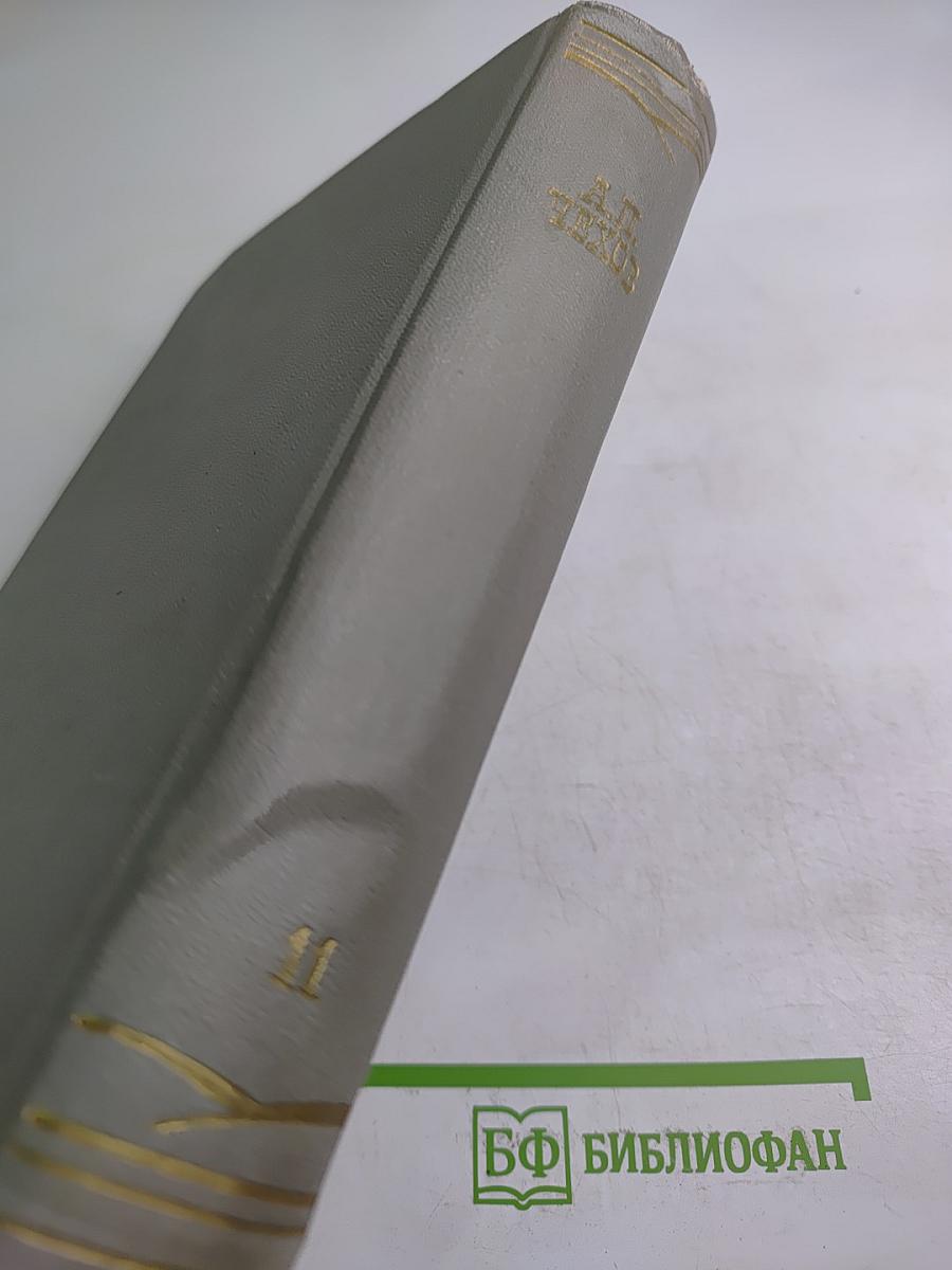 Собрание сочинений. Том одиннадцатый. Письма 1877-1892